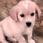 Profile Picture of Harveysutton (@harvey__sutton) on Instagram