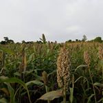 Profile Picture of Janet Daisy (@janet.daisy.167) on Instagram