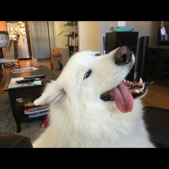 Profile Picture of Julia Reece (@idgafadabc) on Poshmark