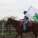 Profile Picture of Sandy Swanson (@sandy.swanson.140) on Instagram