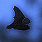 Profile Picture of Ansin Parablue (@ansinparablue) on Flickr