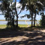 Profile Picture of Randall Owens (@papaowens57) on Instagram