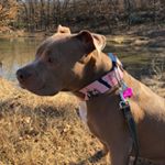 Profile Picture of Cindy Loo (@_cindy__loo_) on Instagram