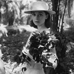 Profile Picture of love is all we need; (@darlingdearaudrey) on Instagram