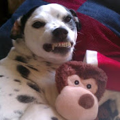 Profile Picture of Brian Hynes (@brianhynes7629) on Youtube