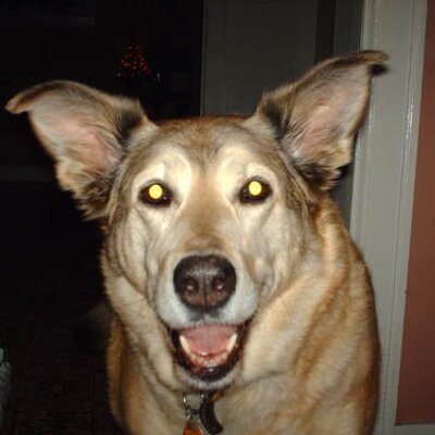 Profile Picture of Dave Keeling (@Lazbuster) on Twitter