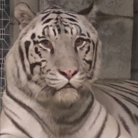 Profile Picture of Reem Tesfamariam (@rebenezer) on Poshmark