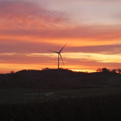 Profile Picture of Aoife Duffy (@aoifeduffy181) on Twitter