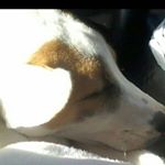 Profile Picture of David John malueg (@davidjohnmauled) on Instagram