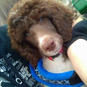 Mack Harris - Youtube Profile Picture of Mack Harris (@Bigmack5) on Youtube