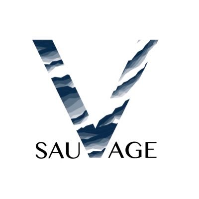 Profile Picture of Vision Sauvage (@visionsauvage) on Twitter