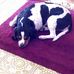 Profile Picture of Wayne Nutt (@wayne.nutt.1297) on Facebook