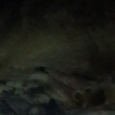 Profile Picture of Jacob Morton (@Mortss1334) on Twitter