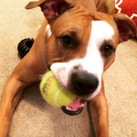 Profile Picture of Morgan Downing (@morgan-downing-9) on Quora