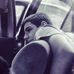 Profile Picture of Giorgi Dundua (@giorgi.dundua.125) on Facebook