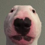 Profile Picture of thomas barrera (@thomasbarrera420) on Instagram