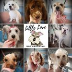 Wendy Magee - Instagram Profile Picture of Wendy Magee (@lilmissboo1989) on Instagram