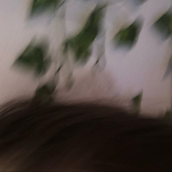 Profile Picture of Adam Lechman (@adamlechman) on Poshmark