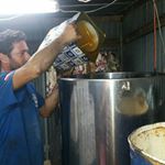 Profile Picture of Μελι καλυμνου Καματερος Μικες (@mikeskamateros) on Instagram