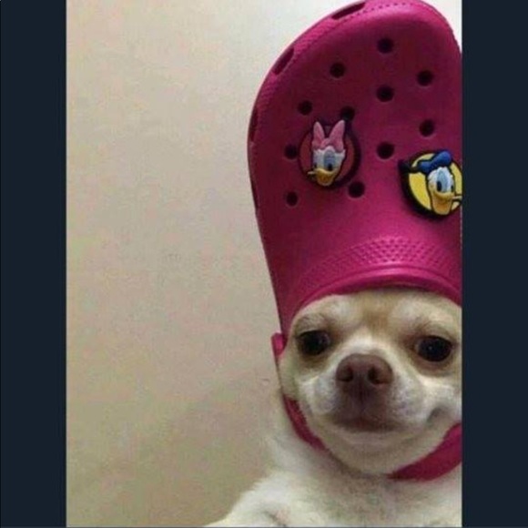 Patty Shwab - Poshmark Profile Picture of Patty Shwab (@pscoco13) on Poshmark