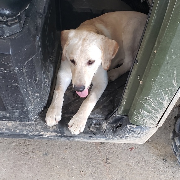 Mark Purtee - Poshmark Profile Picture of Mark Purtee (@mp16s50) on Poshmark