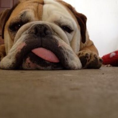 Profile Picture of Ted (@tedcapron) on Twitter