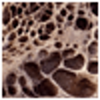 Erwin Barron - Twitter Profile Picture of Erwin Barron (@@qgpdragonce) on Twitter