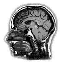 Bobby Adams  - Quora Profile Picture of Bobby Adams  (@bobby-adams-165) on Quora