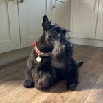 Profile Picture of Lisa Lippett (@blinky71) on Instagram