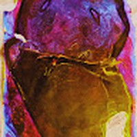 Profile Picture of Shawn Watters (@shawn-watters-9) on Quora