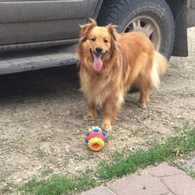 Profile Picture of Jacie Baarson (@Basketball546) on Pinterest