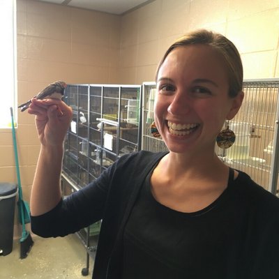 Profile Picture of Lisa P. Barrett (@lisapbarrett) on Twitter