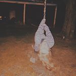 Profile Picture of kendall p (@_kendallparrott) on Instagram