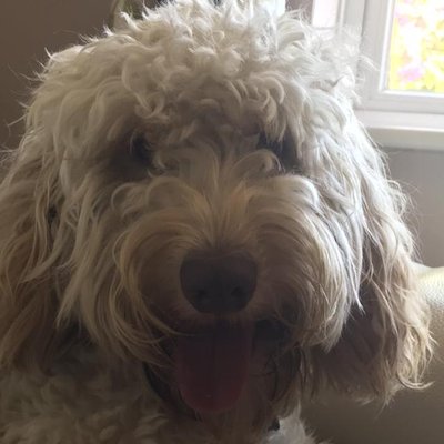 Harvey Rice - Twitter Profile Picture of Harvey Rice (@harveyrice15) on Twitter