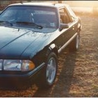 Profile Picture of Chris Weed (@chris-weed-9) on Quora