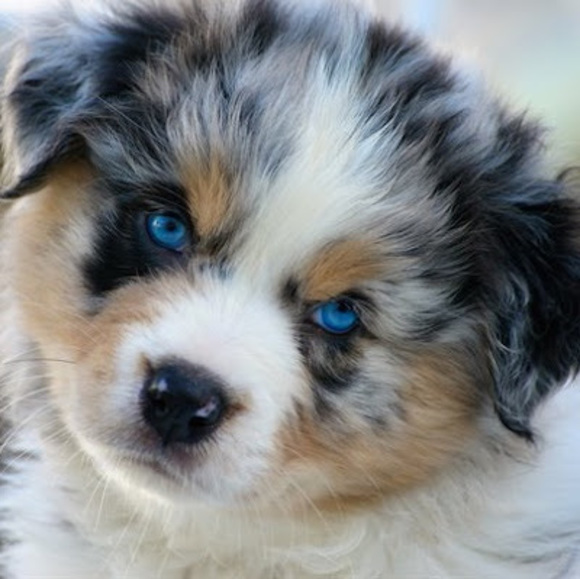 Chelsi Campbell - Poshmark Profile Picture of Chelsi Campbell (@chelsiccampbell) on Poshmark