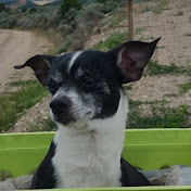 Profile Picture of Brad Peterson (@D4esr2tuc0tion) on Youtube