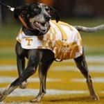 Profile Picture of Chip Malone (@malone.chip) on Instagram