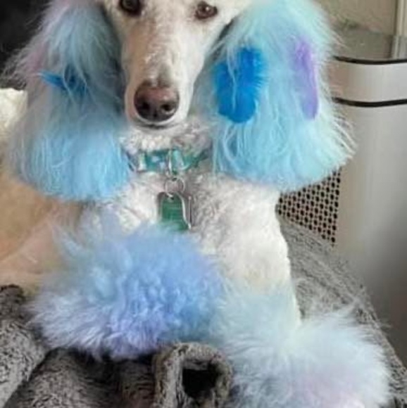 Profile Picture of Nicki Piazza-wohlers (@nickipiazza) on Poshmark