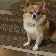 Profile Picture of Randy Faust Sr (@Randyfaustsr2) on Twitter