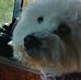Profile Picture of Alfonso James (@alfonso.james.9465) on Facebook