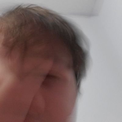 Profile Picture of Shawn Klein (@DonkeyQuandary) on Twitter