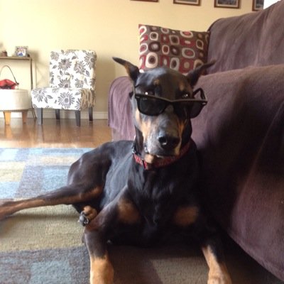 Profile Picture of Iain Hastie (@Cassius5) on Twitter