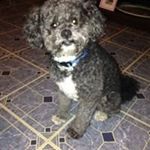 Profile Picture of Doris Peake (@peakedoris) on Instagram