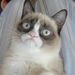 Profile Picture of Shawna Pope (@drjones0808) on Pinterest