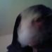 Profile Picture of Dan Maples (@dan.maples.16) on Facebook