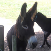 Profile Picture of Stephen Haupt (@stephenhaupt5957) on Youtube