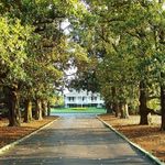 Profile Picture of Jon Fenton (@jonsfenton) on Instagram