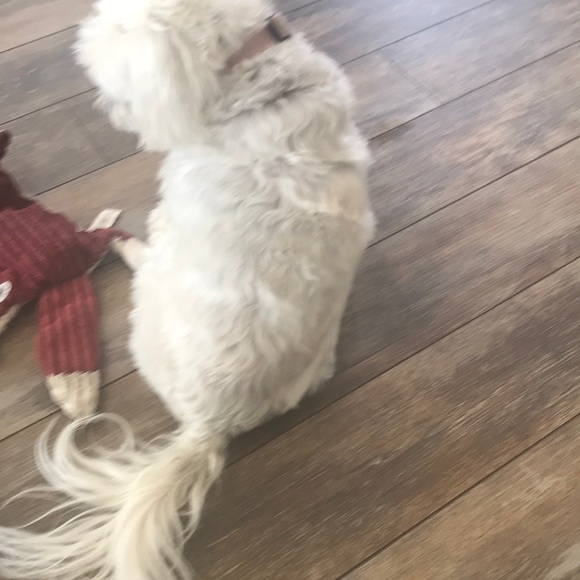 Profile Picture of Chloe Bryant (@chloe123555) on Poshmark