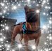 Profile Picture of Karine Stephane Devos (@Karine-Stephane-Devos) on Facebook